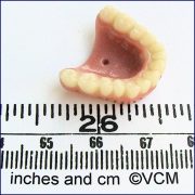 Vintage Dentures (A)